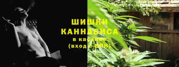 PSILOCYBIN Армянск
