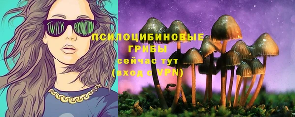 амф Арсеньев