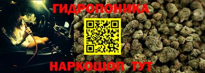 спиды Новокубанск