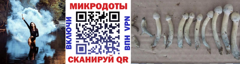 Псилоцибиновые грибы мухоморы закладки Чернушка