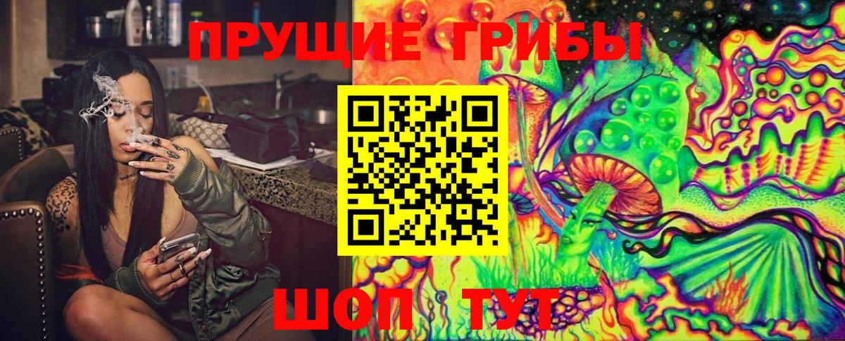 Галлюциногенные грибы MAGIC MUSHROOMS Чернушка