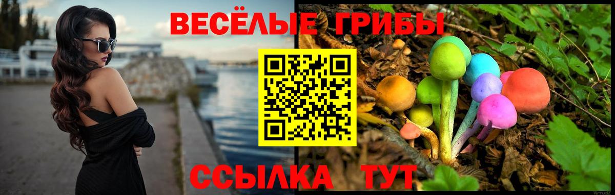 Чернушка  Псилоцибиновые грибы GOLDEN TEACHER  Вход с VPN 