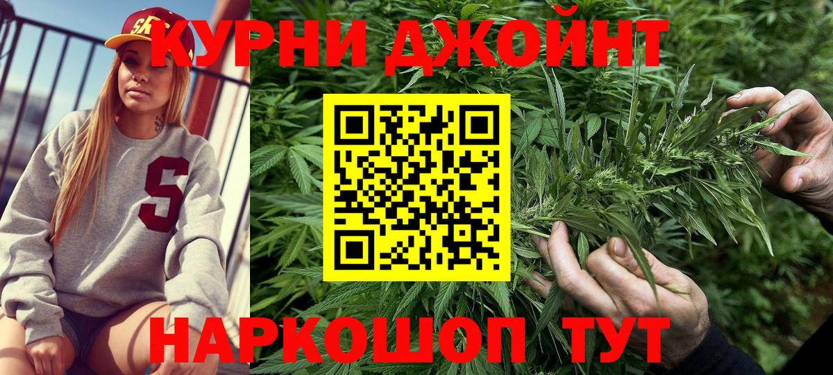 Чернушка  Бошки Шишки ГИДРОПОН  Вход с VPN  Каннабис сатива 