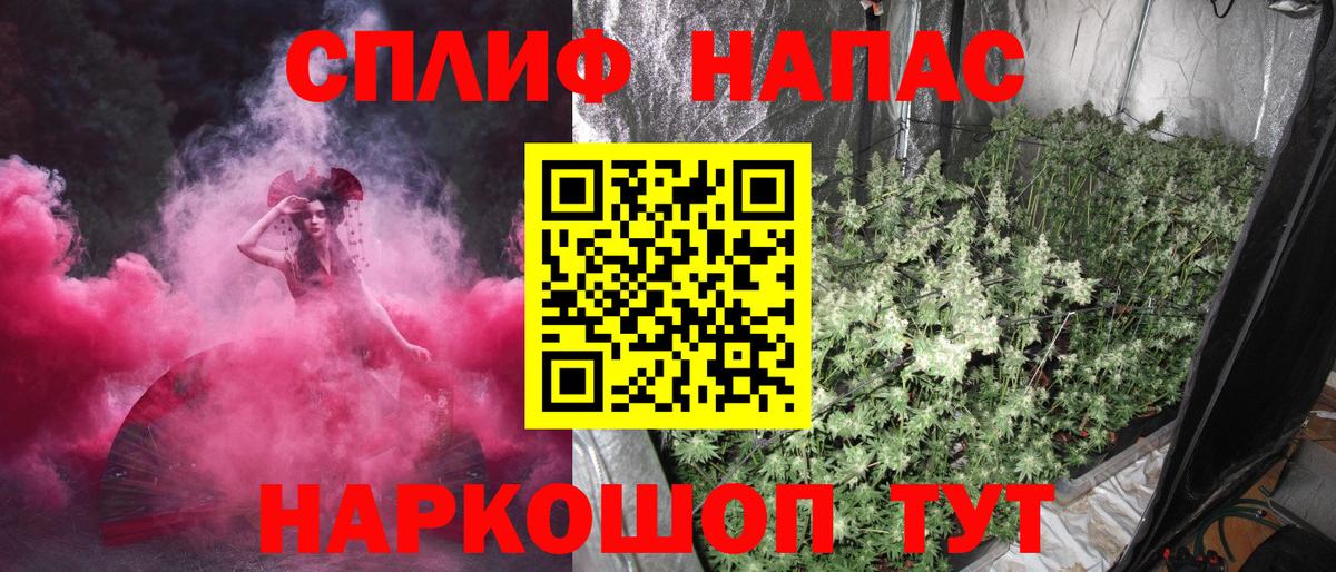 Шишки марихуана гибрид Чернушка